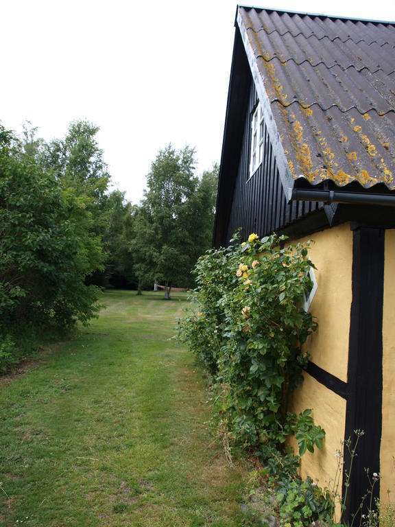 Faedrelandet Ferielejlighed & Turridning Laeso Exterior foto
