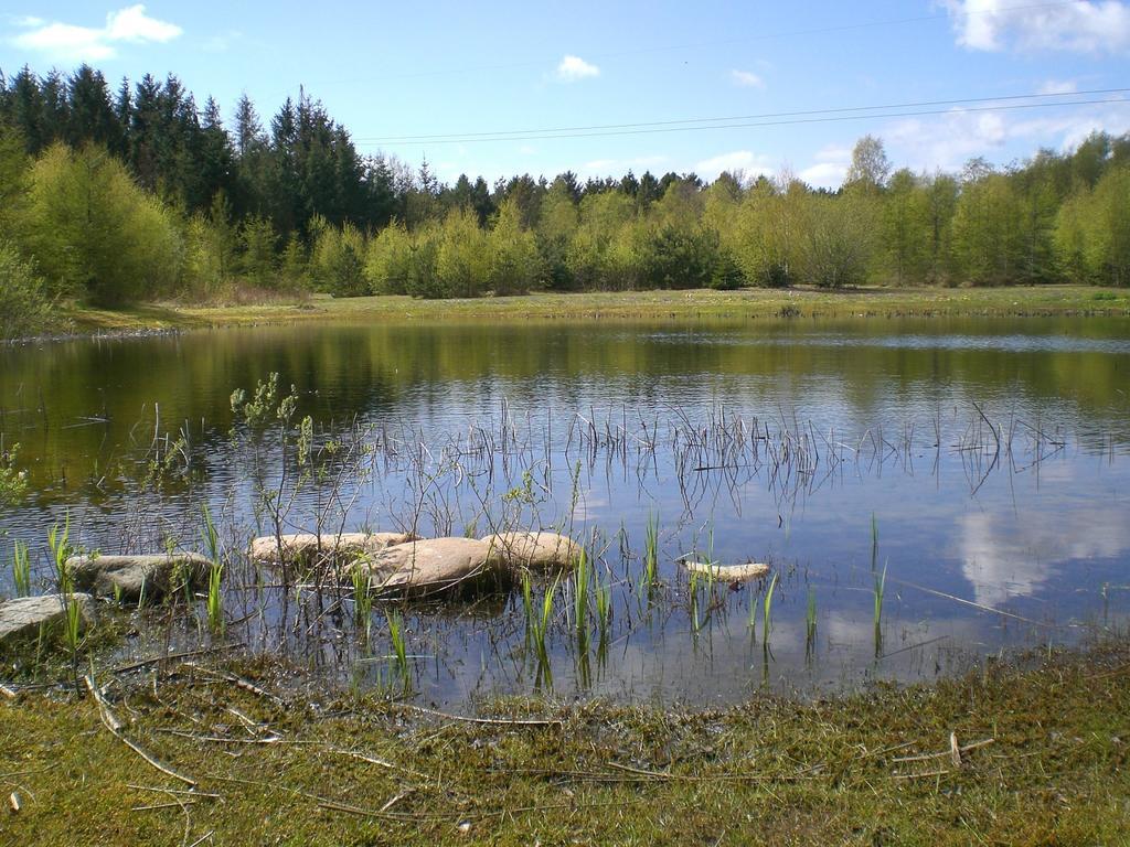 Faedrelandet Ferielejlighed & Turridning Laeso Exterior foto